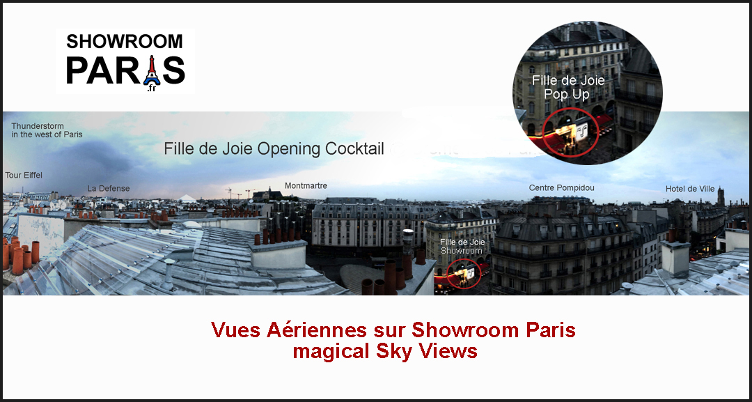 vue aerienne sur Showroom Paris N°6